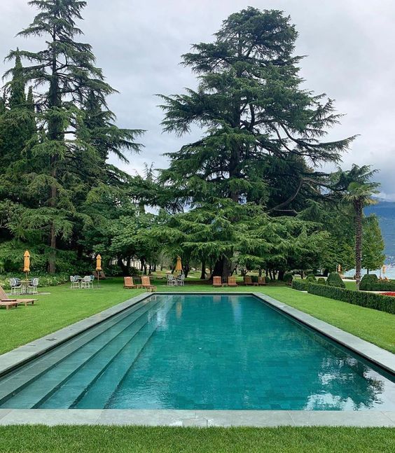 cricket turf construction in delhi