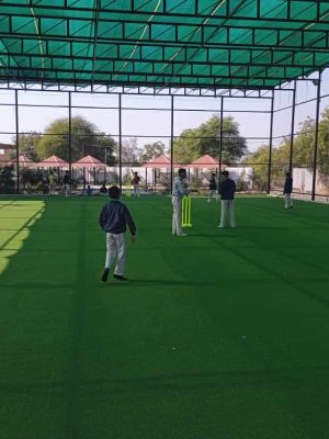 cricketbox5