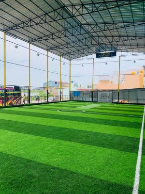 football turf construction in delhi