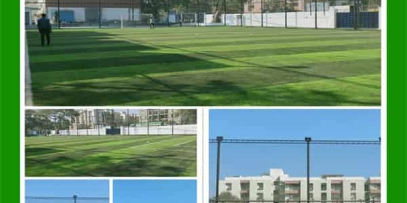turf